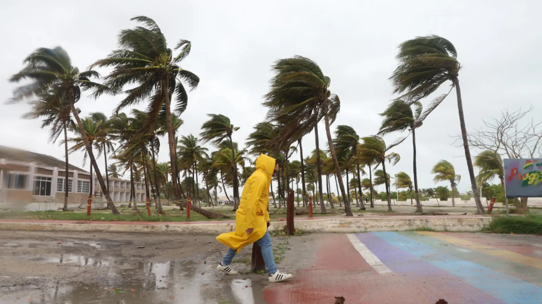 Tormenta tropical